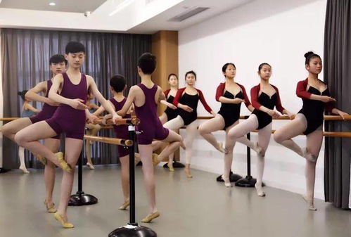 新郑市专业一流的舞蹈培训来啦 9.9元体验课，师资、环境、价格全面开挂